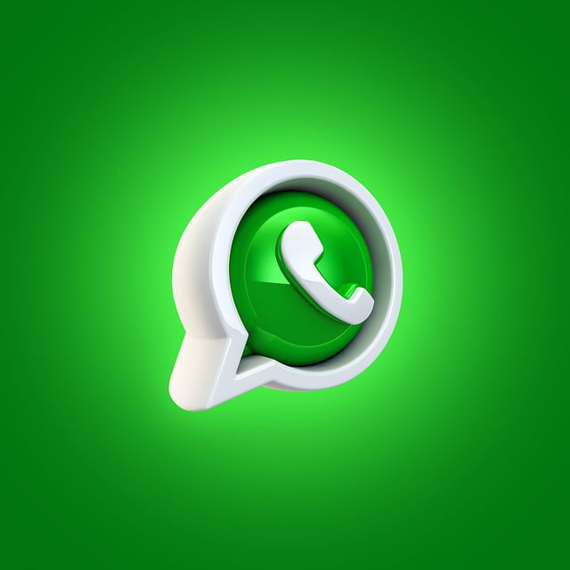 WhatsApp Logo