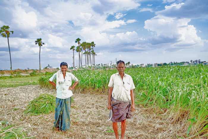 Modi farmers income double
